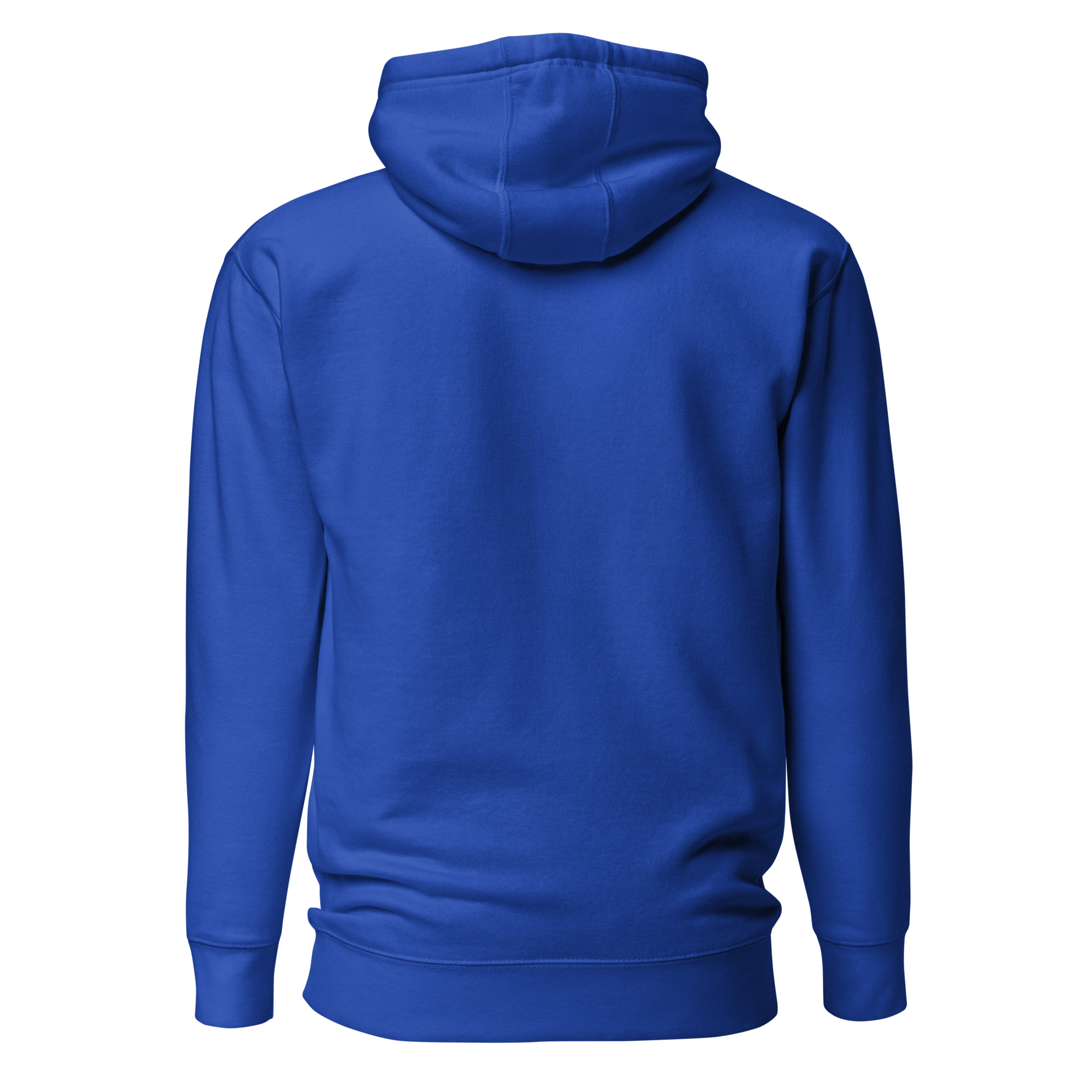 unisex-premium-hoodie-team-royal-back-6634ece6dca1a.jpg